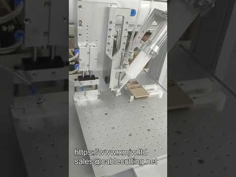 OEM 50ml AB-11-21 Epoxy Resin Two-Part Glue Dispensing Robot Automatic Glue Dispenser with Suction